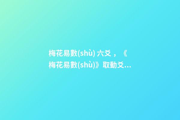 梅花易數(shù) 六爻，《梅花易數(shù)》取動爻法